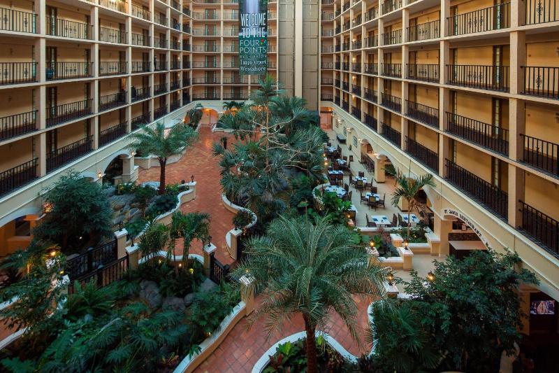 Four Points by Sheraton Suites Tampa Airport Westshore - image 8