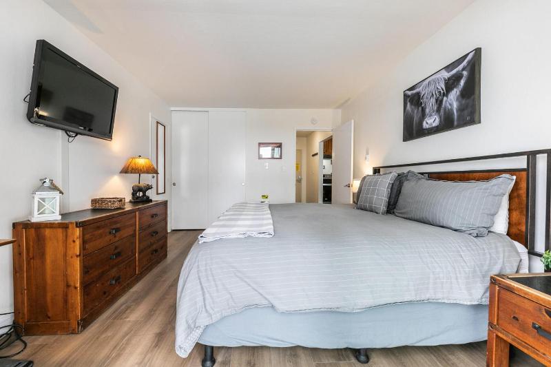 Inviting King Deluxe 1 BR Condo W/Lake view #141 at Donner Lake Village - image 14