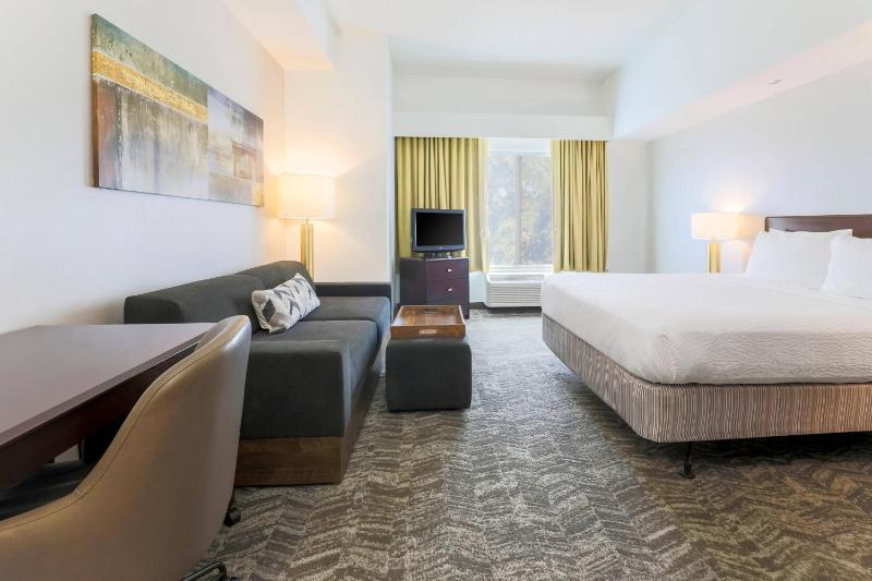 Standard Double Suite image 3