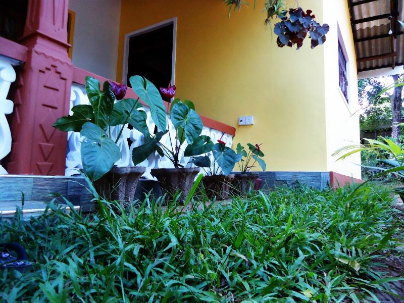 Sigiri Sithru Home Stay - image 16