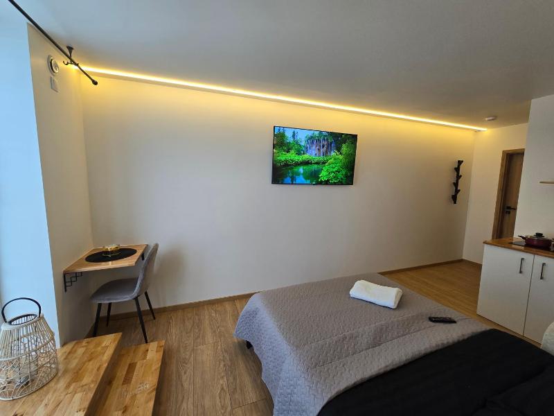 T1 Bamboo apartament - image 7