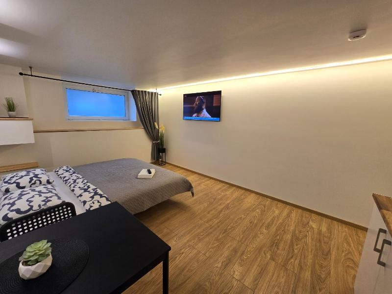 T3 Studio apartment - image 12