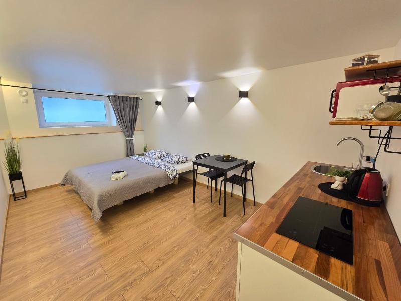 T7 Studio apartment - image 7