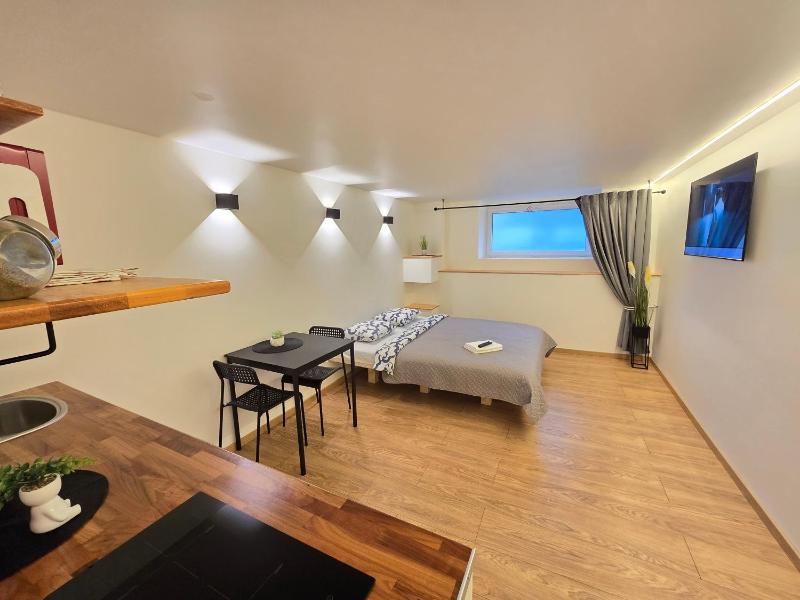 T8 Studio apartment - image 14