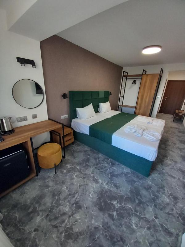 Deluxe Double or Twin Room image 3