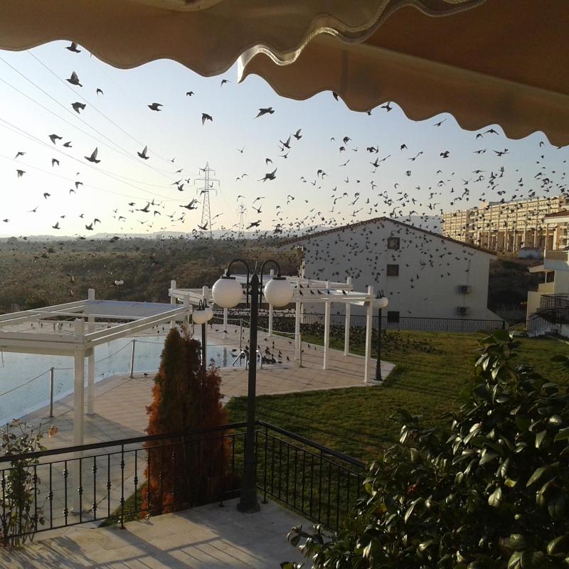 Bell Air Hotel - image 23