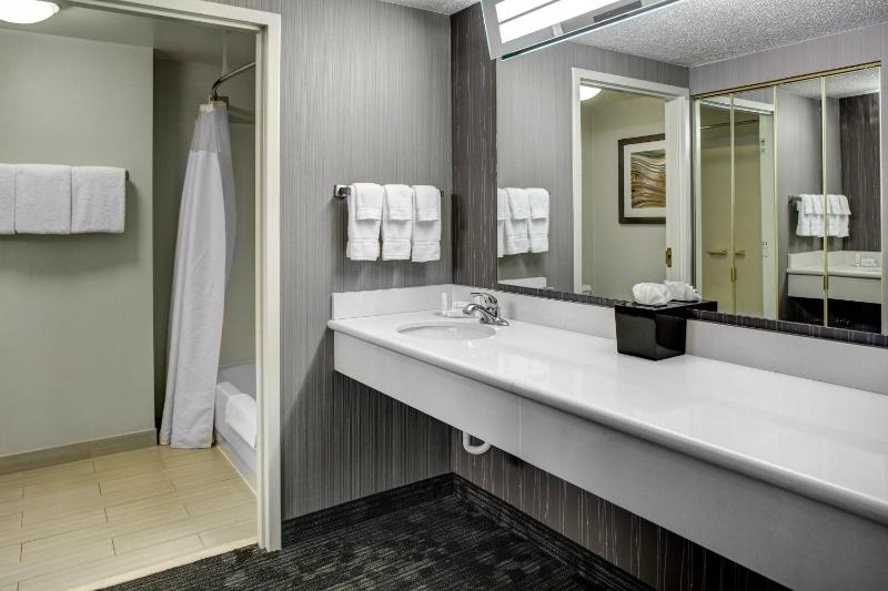 One-Bedroom King Suite with Sofa Bed image 2