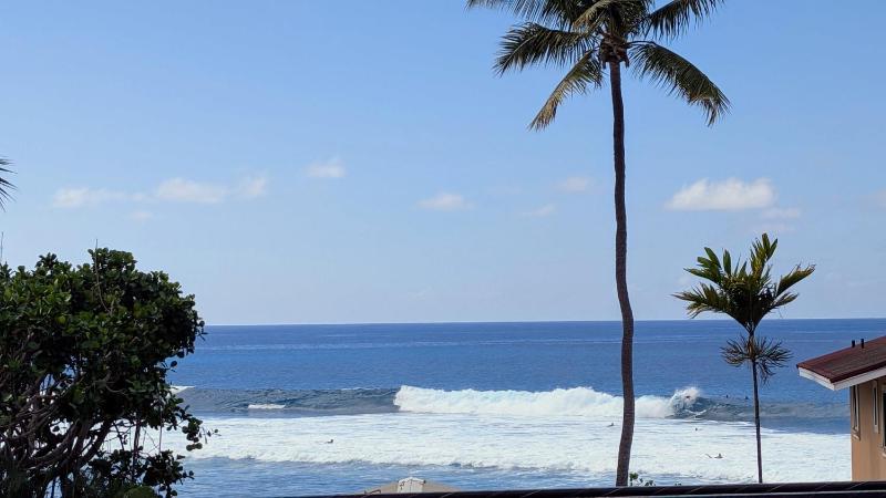 Seaside Retreat Condo - image 13