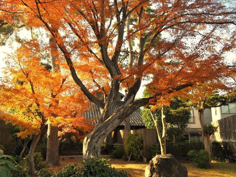 Machi no Odoriba - image 16