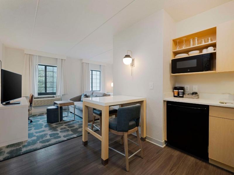 King Studio Suite image 4