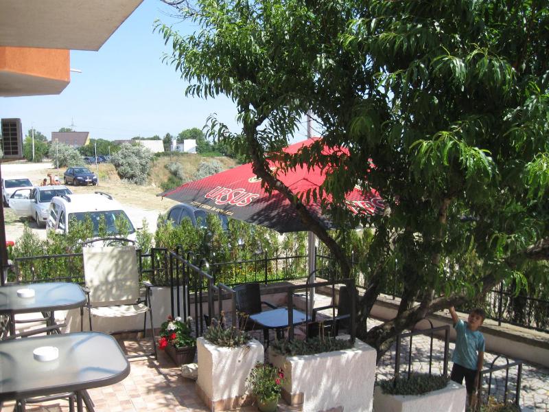 Vila Andreea - image 11