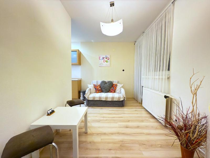One-Bedroom Apartment with Terrace image 4