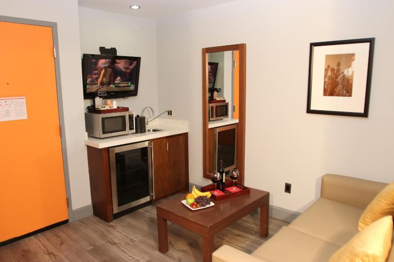 Large One Room Suite - Non Smoking image 4