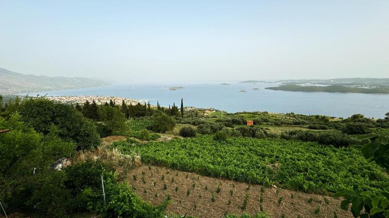 Apartments with parking space Orebic Peljesac - 16326 - image 3
