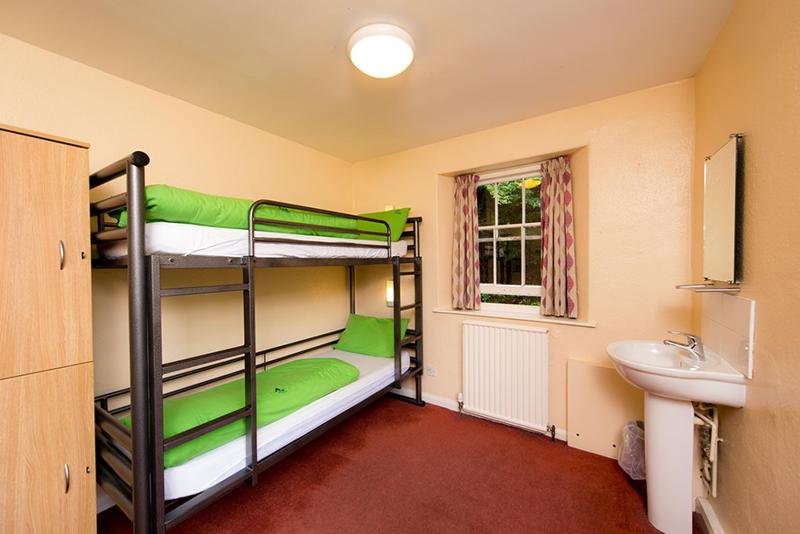 Bunk Bed in Female Dormitory Room with Shared Bathroom image 1