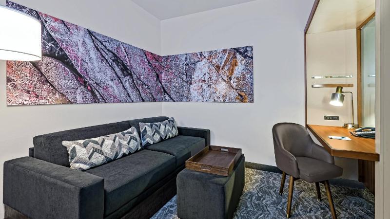 SpringHill Suites by Marriott San Antonio SeaWorld/Lackland - image 25