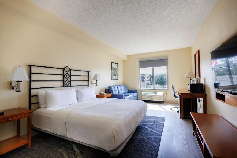Deluxe Single Room image 4