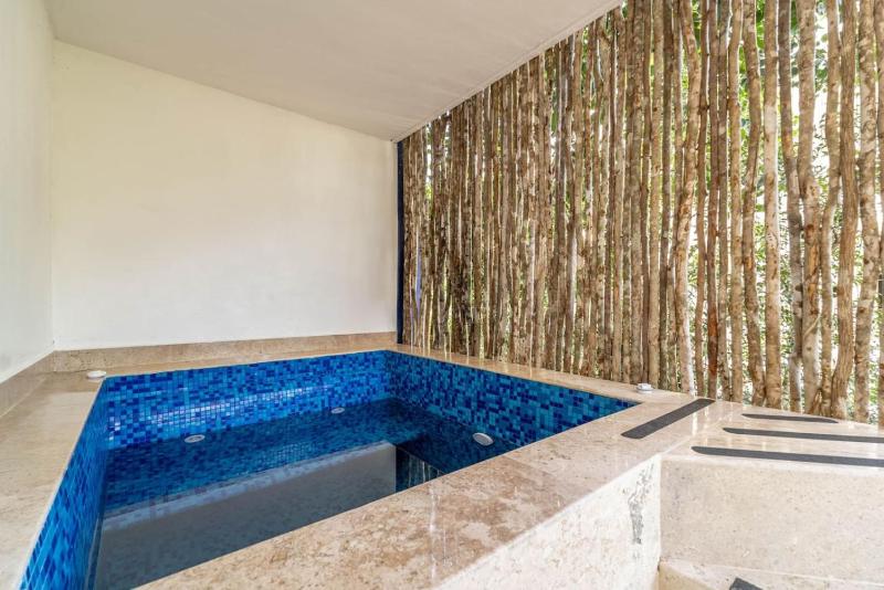Lux 2 BD Suite with Private Plunge Pool Terrace - image 7