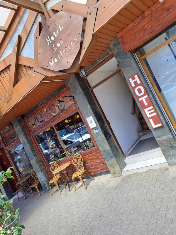 Hotel los maitenes - image 43