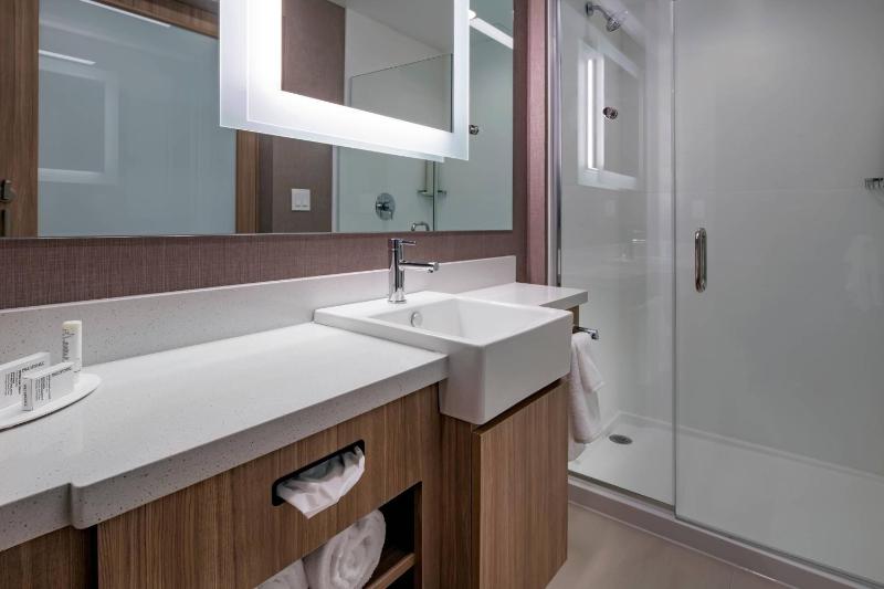 Suite, 1 King, Trundle bed image 2