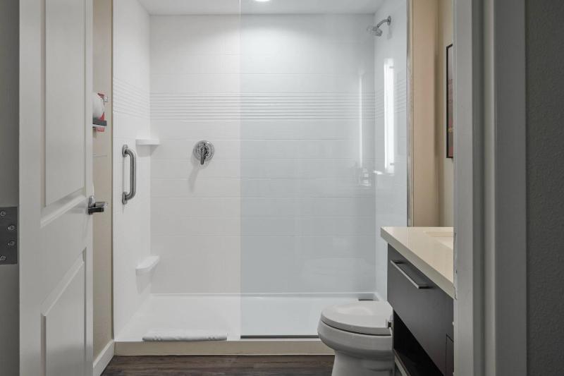 TownePlace Suites by Marriott Tampa South - image 12