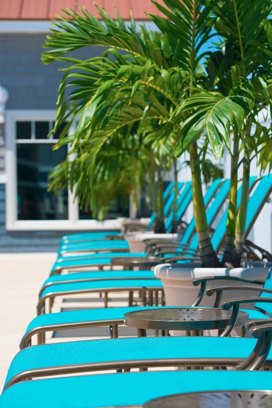 Bethany Beach Ocean Suites Residence Inn - image 28