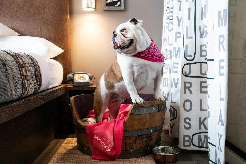 Moxy Louisville Downtown - image 10