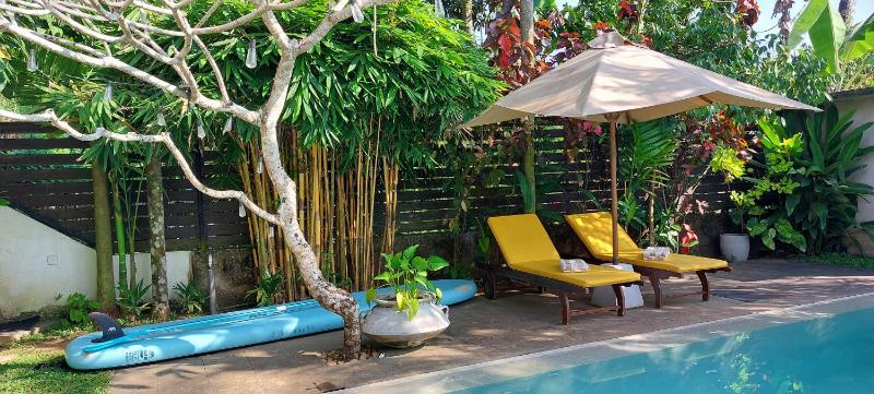 The Secret Guesthouse - image 11