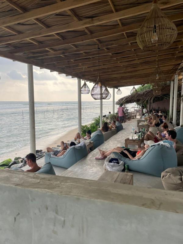 Animal Surf Point - image 15