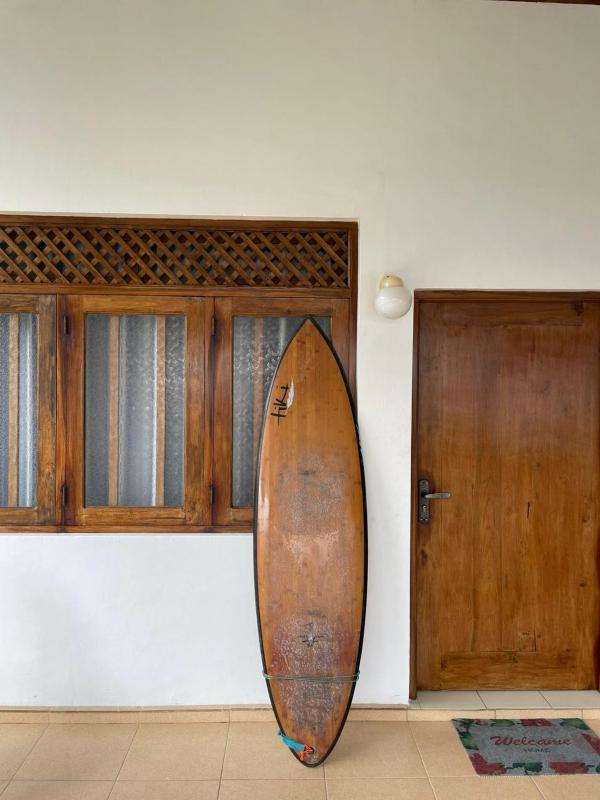 Animal Surf Point - image 14