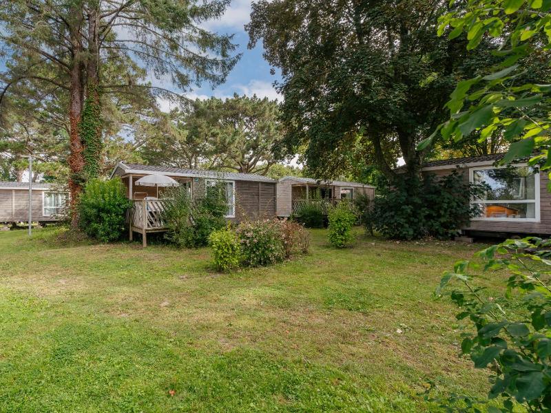 Standard Mobile Home (4 Adults) image 1