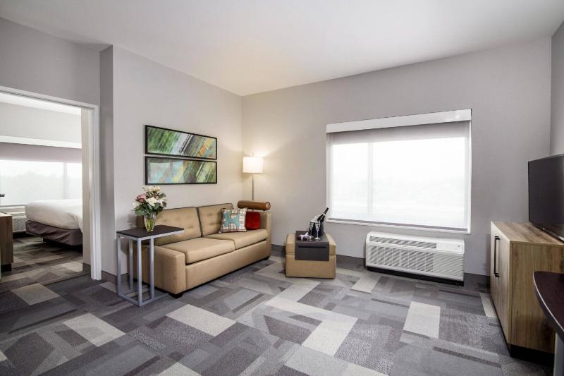 TownePlace Suites by Marriott Houston Hobby Airport - image 2