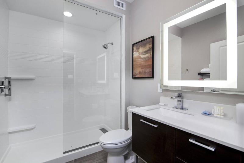 TownePlace Suites by Marriott Houston Hobby Airport - image 27