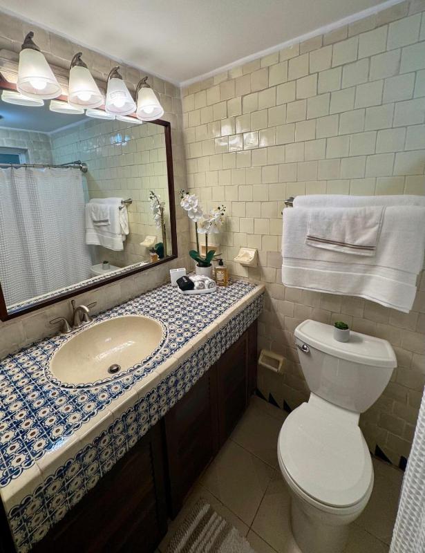 One-Bedroom Apartment image 2