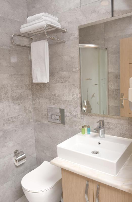 Standard Double or Twin Room image 4