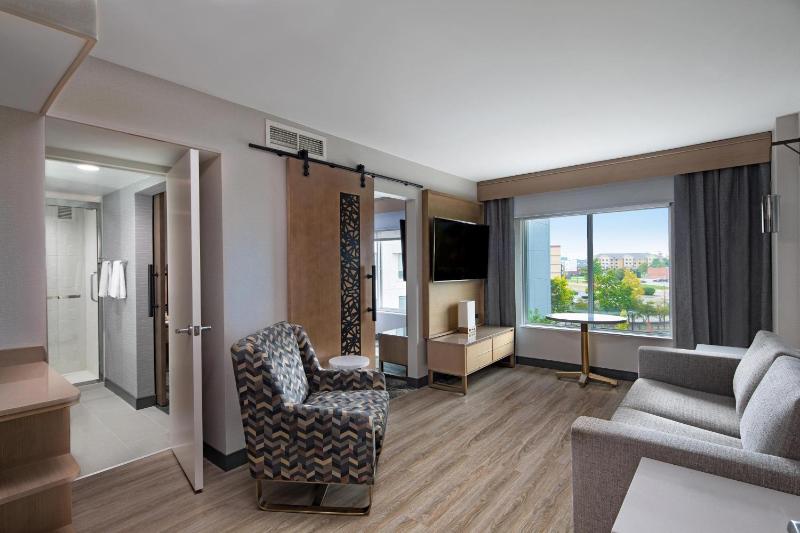 Suite, 1 King, Sofa bed image 4