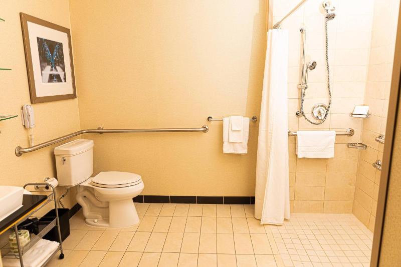 King Suite image 4