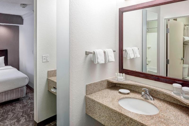 One-Bedroom Suite image 4