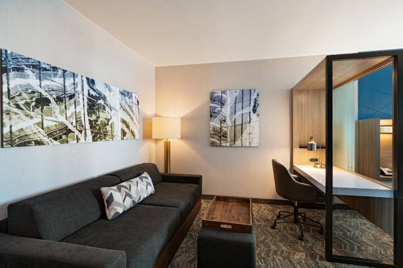 SpringHill Suites by Marriott Dallas Richardson/University Area - image 8