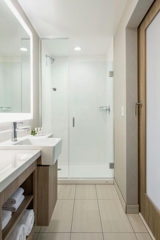 One-Bedroom Large King Suite with Sofa Bed - Hearing Accessible image 2