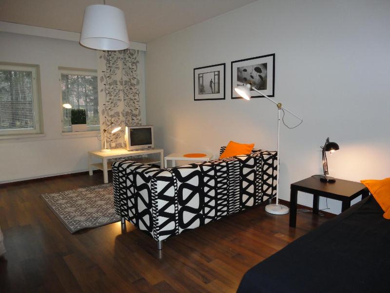 Standard Apartment image 4