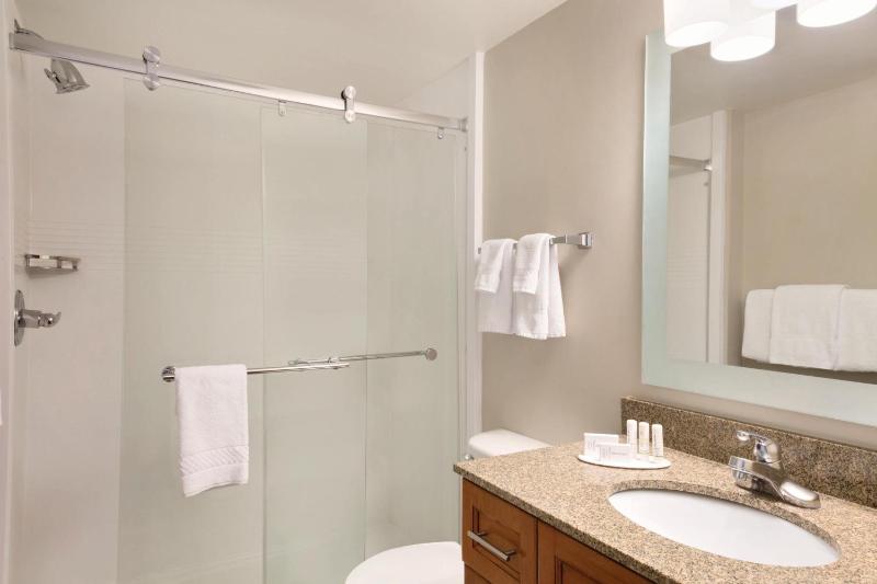 TownePlace Suites by Marriott Denver Downtown - image 14
