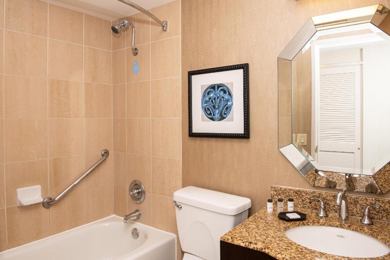 Sheraton Mission Valley San Diego Hotel - image 14