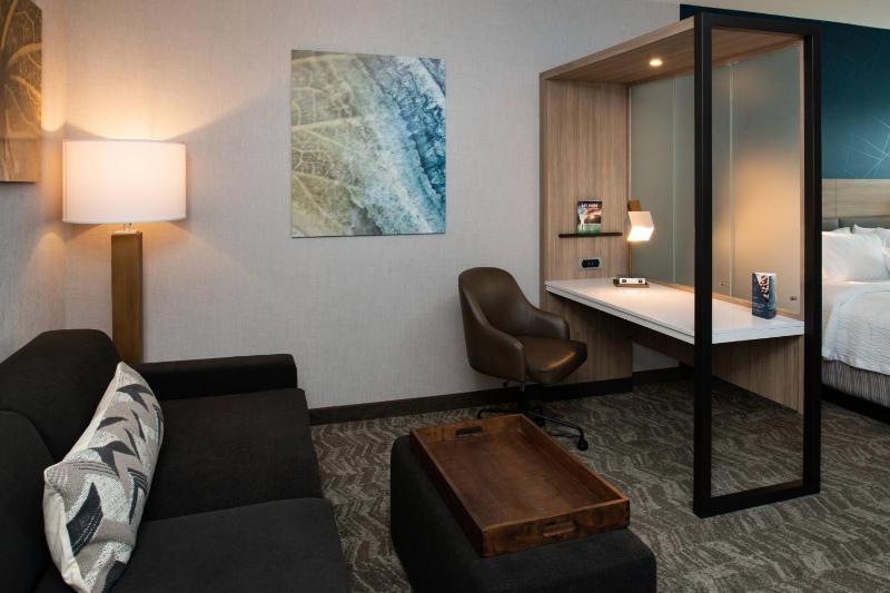 Suite, 1 King, Trundle bed, City view image 3