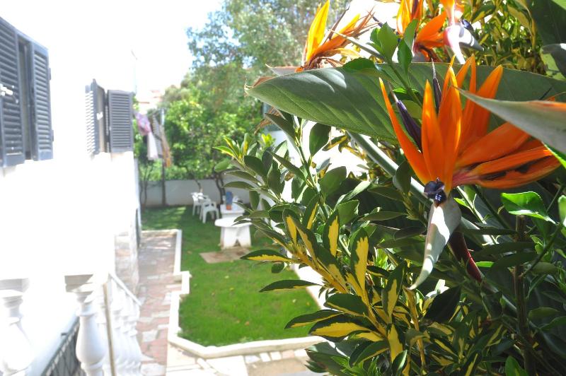 Manelisa Cascais - image 2