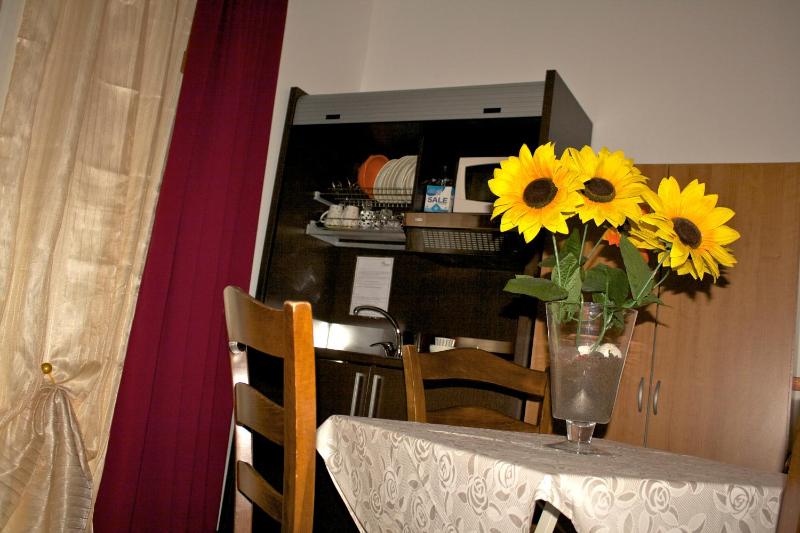 Studio with Terrace image 1