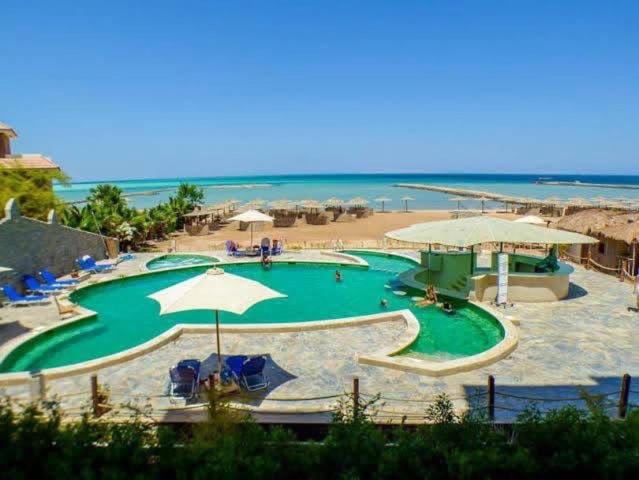 Studio  Side Sea View  Pool  Turtles Beach - image 19
