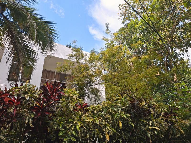 Zeleny Retreat Home Stay - image 10