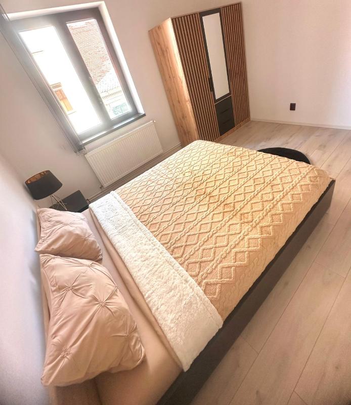Home central apartment Sibiu - image 20
