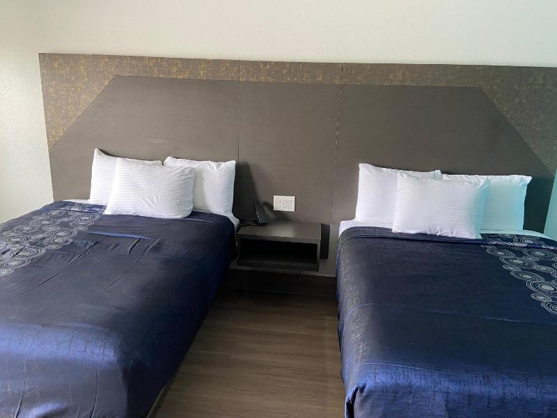 LiV Inn & Suites Houston - image 3